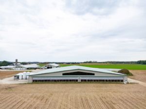 Dairy GOLD - HFH Inc.